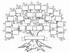 Image result for Family Reunion Tree Blank