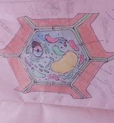 Image result for Computer Science Drawing Stck Image