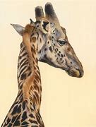 Image result for Paintings of Wild Animals