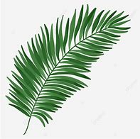 Image result for Pink Spear Palm Leaf Template