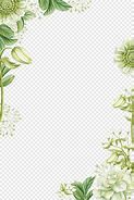 Image result for Border Frame Design Green Flower