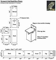 Image result for Eastern Screech Owl Box Plans