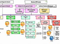 Image result for Basic Organizational Chart Template