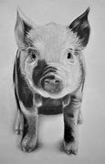 Image result for Black and White Pig Coloring Pages