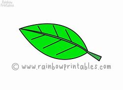 Image result for Simple Cartoon Leaf