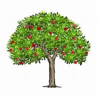 Image result for Apple Tree with Majors Vector