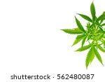 Image result for Black Marijuana Leaf Clip Art