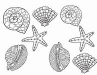 Image result for Sharing a Shell Colouring