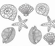 Image result for Sea Shells to Color