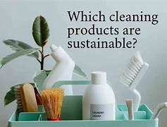 Image result for Best Product Pictures for Cleaning Produtcs