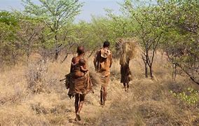 Image result for Hunter-Gatherer