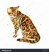 Image result for Bengal Cat Clip Art