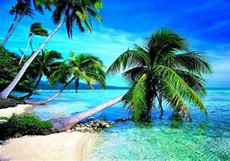 Image result for Islands in Malaysia for Holiday