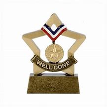 Image result for Well Done Gold Medal