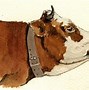 Image result for Cow Drawing for Kids