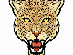 Image result for Cheetah Clip Art