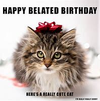 Image result for Happy Belated Birthday Cat