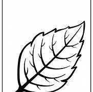 Image result for Leaf Drawing for Kids Coloring