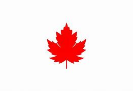 Image result for Vector Legnth Maple