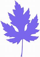 Image result for Canadian Maple Leaf Silhouette