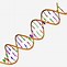 Image result for DNA Helix Logo