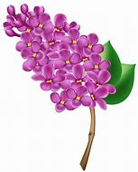 Image result for Purple Lilac Bouquet