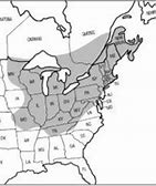 Image result for Sugar Maple Range