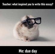 Image result for Funny Essays