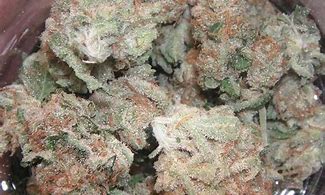 Image result for Indica Kush Strain