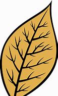 Image result for Tobacco Leaf Illustration