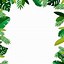 Image result for Free Jungle Border Clip Art