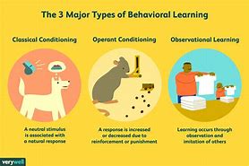 Image result for Cognitive Development Psychology