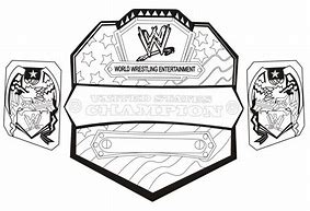 Image result for MMA Belt