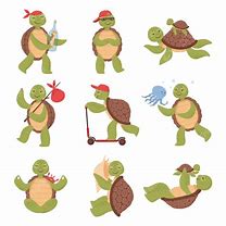 Image result for Turtle Shell Coloring Page