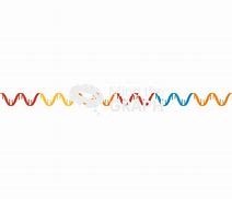 Image result for RNA Chain