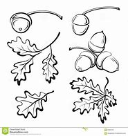 Image result for Oak Leaf and Acorn Drawing