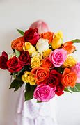 Image result for Bright Colored Roses