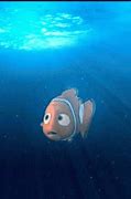 Image result for Clown Fish From Nemo