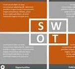 Image result for SWOT-analysis NASM