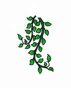 Image result for Vine Leaves Drawing