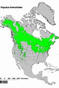 Image result for Aspen Tree Range Map