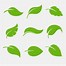 Image result for Leaves Vector Free