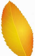 Image result for Yellow Fall Leaf Clip Art