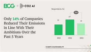 Image result for BCG CO2 Ai