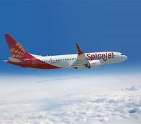 Image result for SpiceJet Symbol