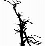 Image result for Big Tree Silhouette