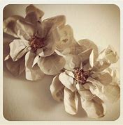 Image result for Newspaper Flower Tutorial