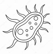 Image result for Bacteria Drawing