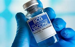 Image result for BCG Vacciné