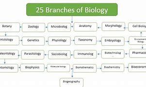 Image result for biology branches science